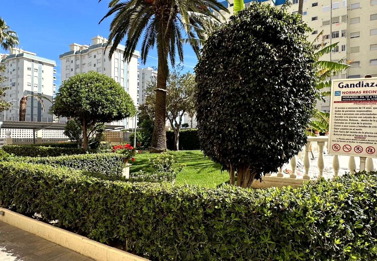 Apartamento en Gandia - GANDAIZAR III - 2ª - 11º - 21ª   /   PLAYA DE GANDIA