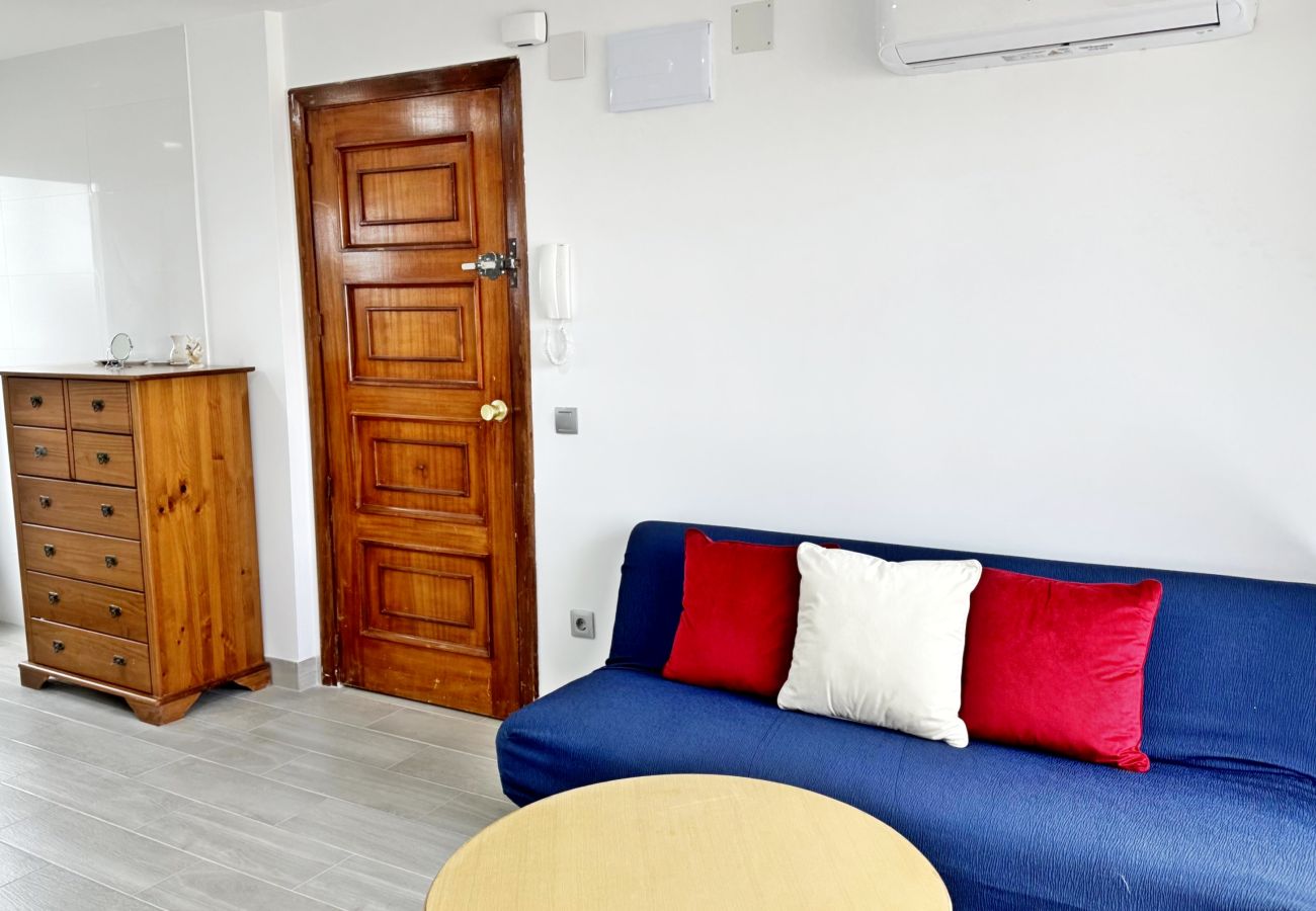Apartamento en Gandia - GANDAIZAR III - 2ª - 11º - 21ª   /   PLAYA DE GANDIA