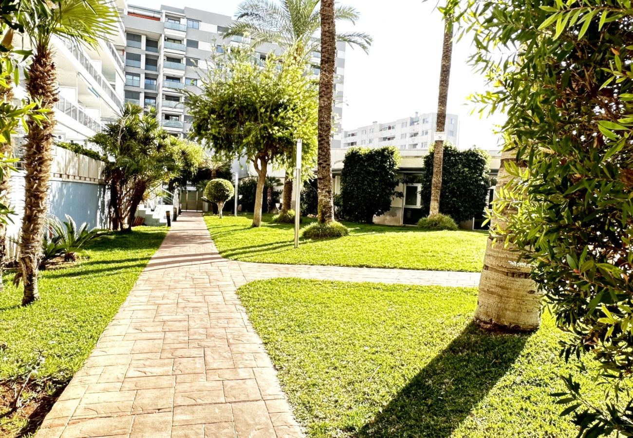 Apartamento en Gandia - ATHENEA Bl-F, esc 2 - 9º - F   /   PLAYA DE GANDIA