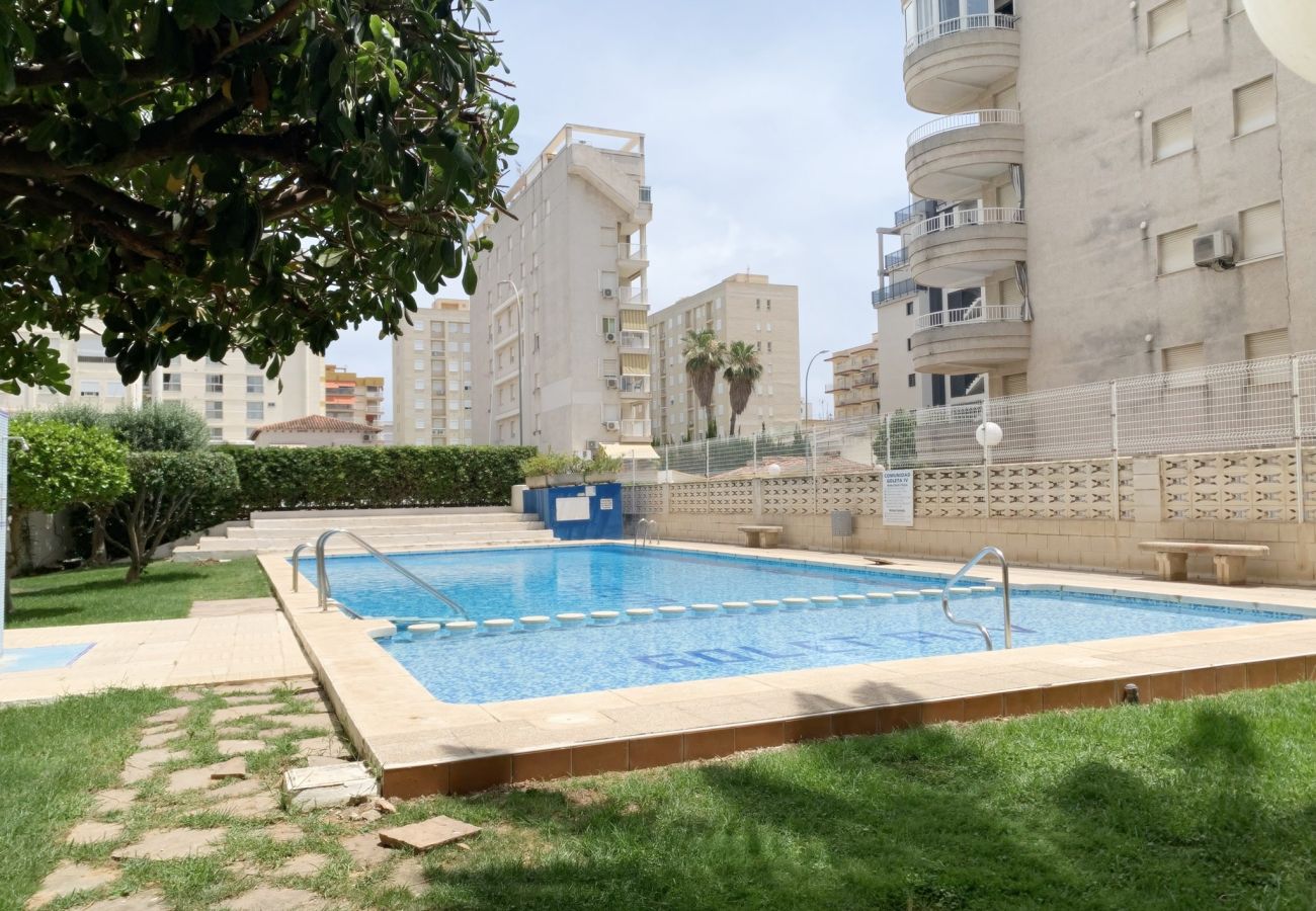 Apartamento en Gandia - GOLETA IV - 3ª - 8º - IZQ    /    PLAYA DE GANDIA