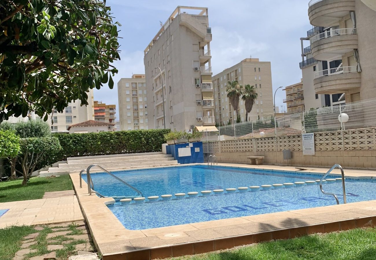 Apartamento en Gandia - GOLETA IV - 3ª - 8º - IZQ    /    PLAYA DE GANDIA