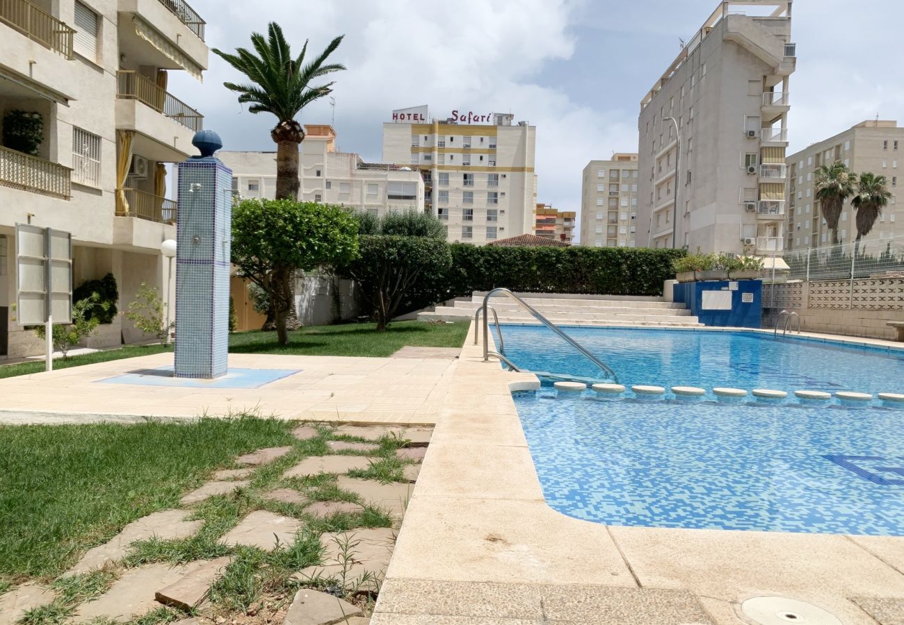 Apartamento en Gandia - GOLETA IV - 3ª - 8º - IZQ    /    PLAYA DE GANDIA