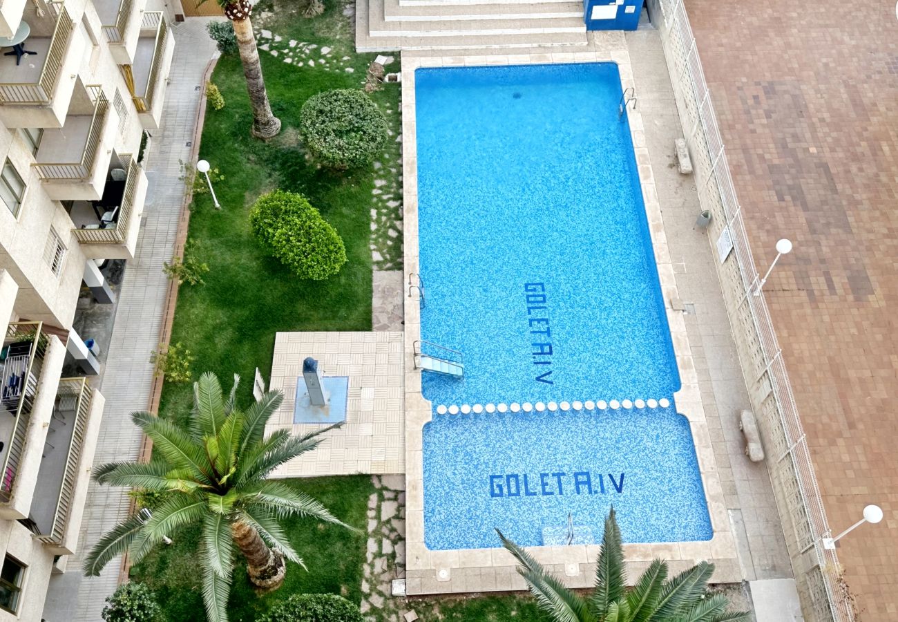 Apartamento en Gandia - GOLETA IV - 3ª - 8º - IZQ    /    PLAYA DE GANDIA