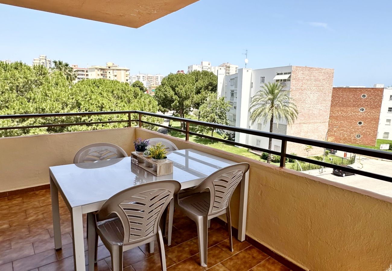 Apartamento en Gandia - LAS OLAS 4º - 11    /    PLAYA DE GANDIA