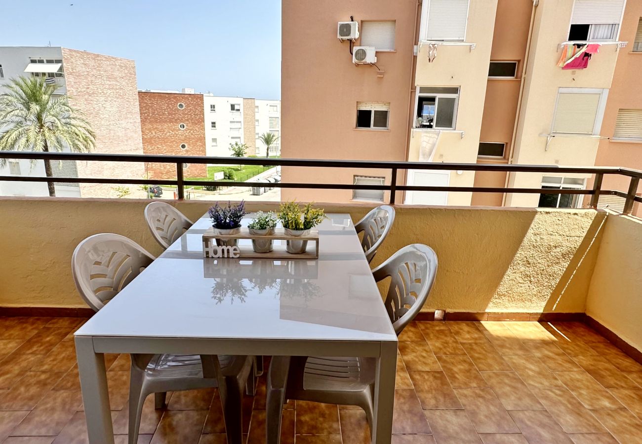 Apartamento en Gandia - LAS OLAS 4º - 11    /    PLAYA DE GANDIA