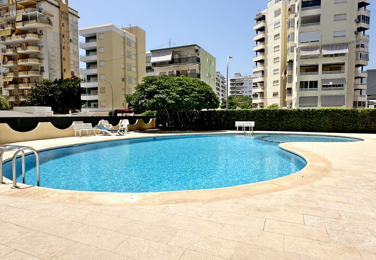 Apartamento en Gandia - LAS OLAS 4º - 11    /    PLAYA DE GANDIA