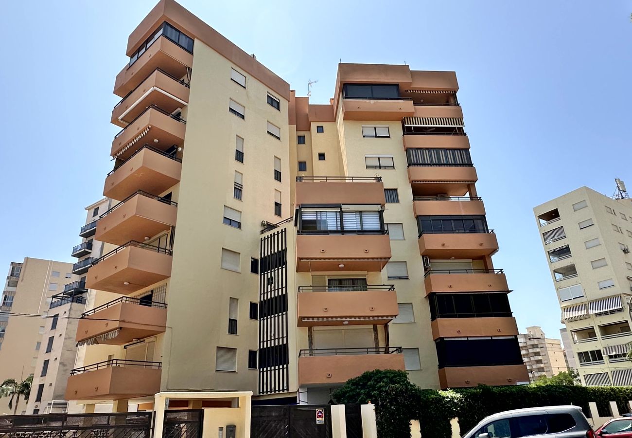 Apartamento en Gandia - LAS OLAS 4º - 11    /    PLAYA DE GANDIA