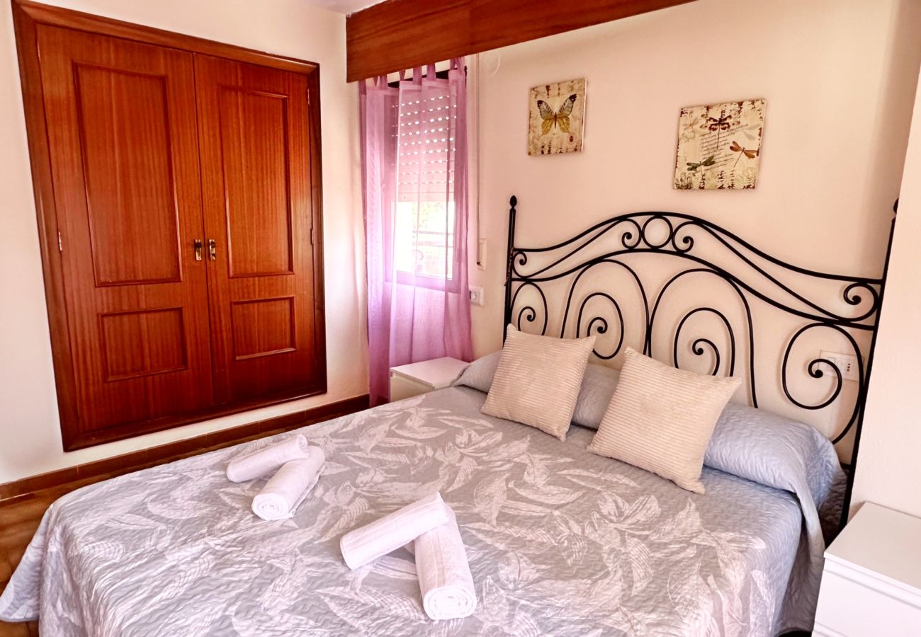 Apartamento en Gandia - LAS OLAS 4º - 11    /    PLAYA DE GANDIA