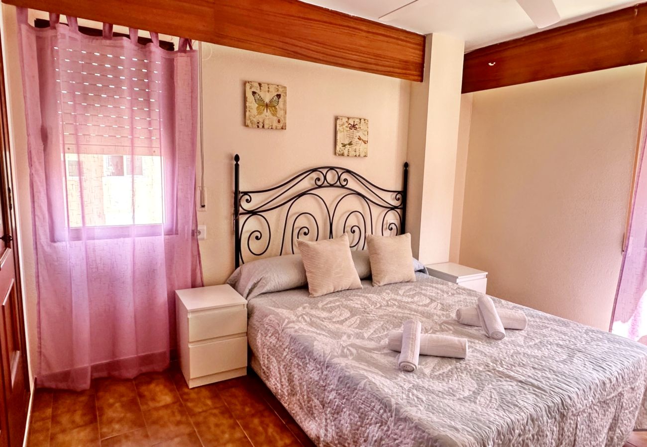 Apartamento en Gandia - LAS OLAS 4º - 11    /    PLAYA DE GANDIA