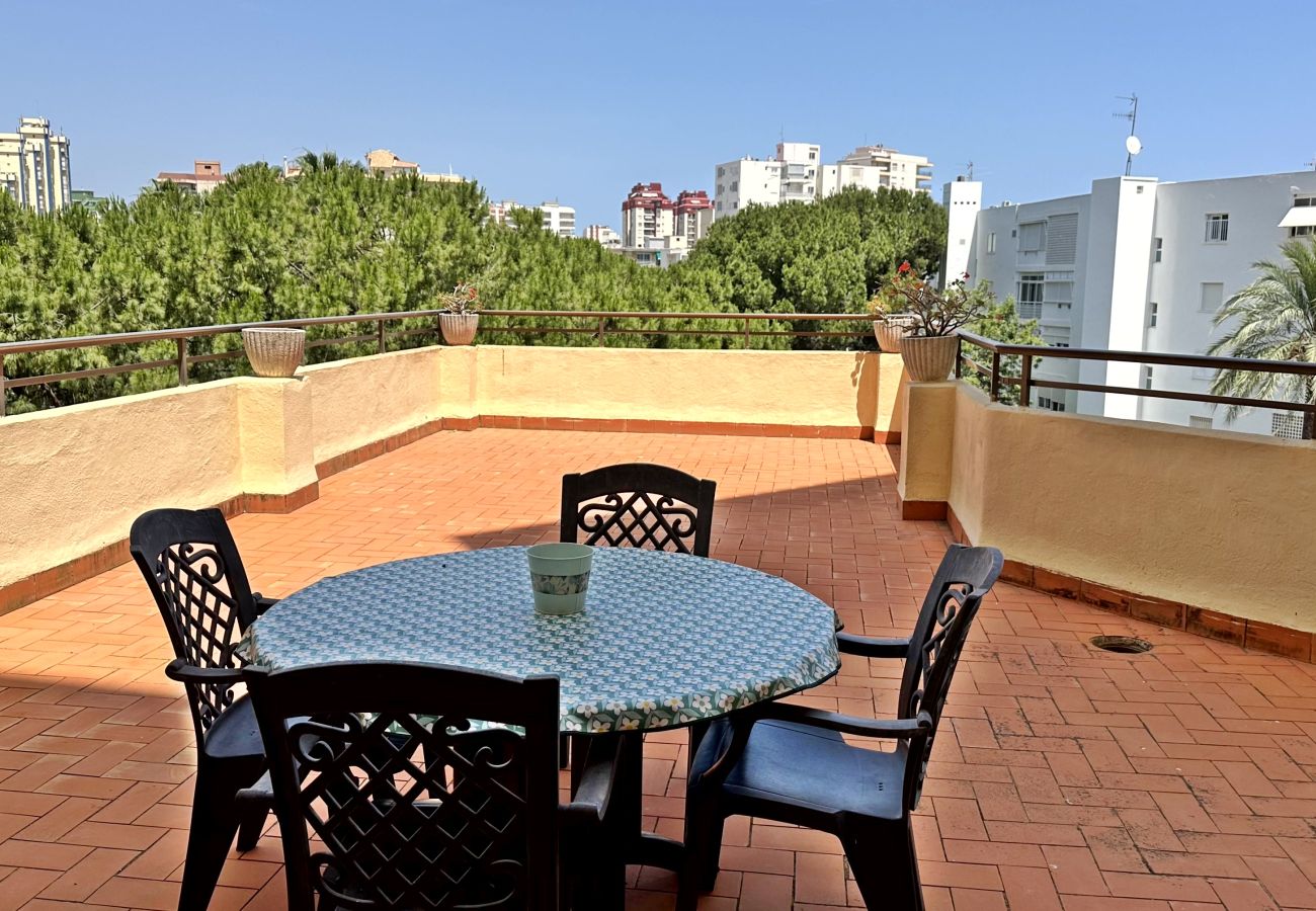 Apartamento en Gandia - LAS OLAS 4º - 11    /    PLAYA DE GANDIA