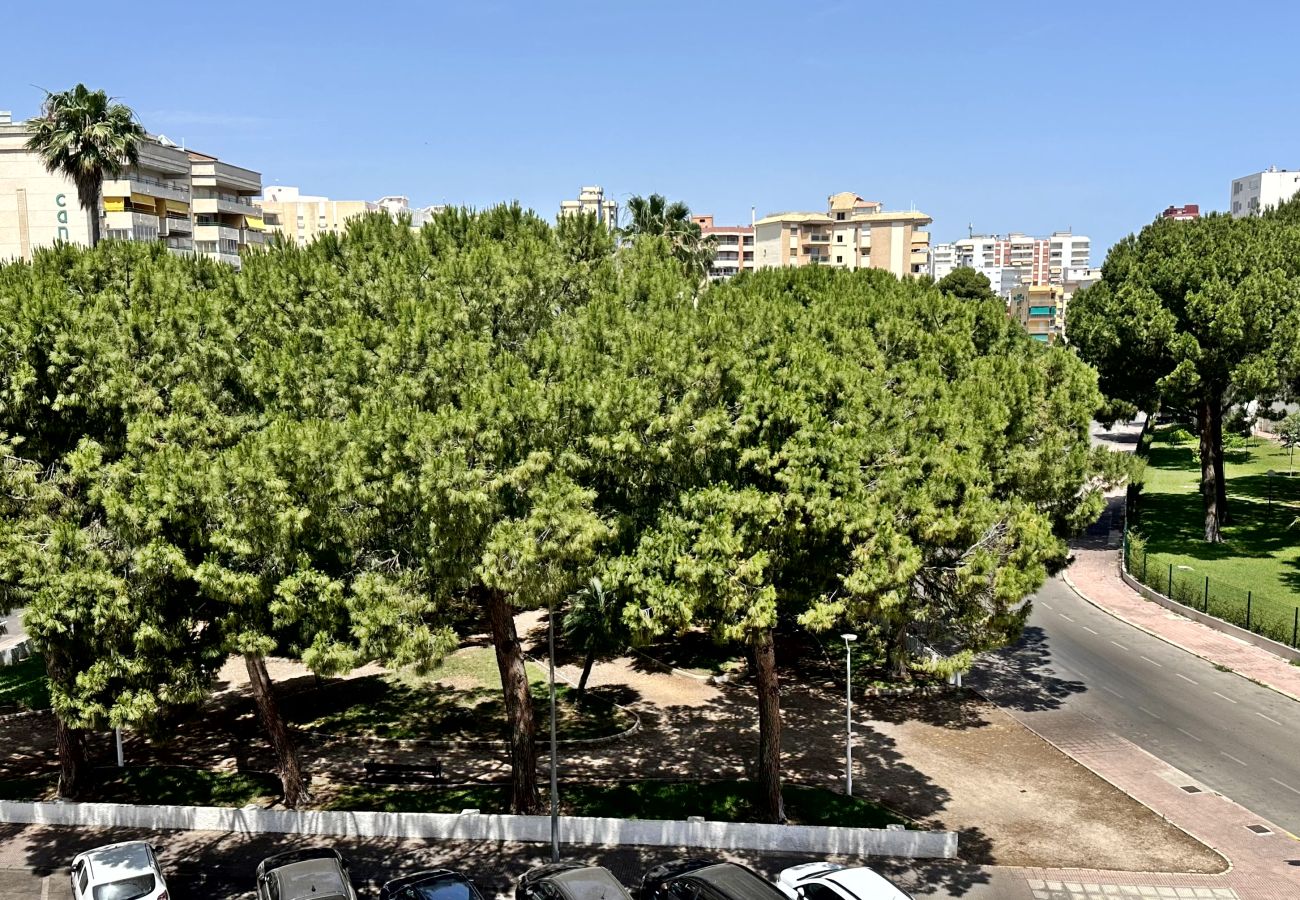 Apartamento en Gandia - LAS OLAS 4º - 11    /    PLAYA DE GANDIA