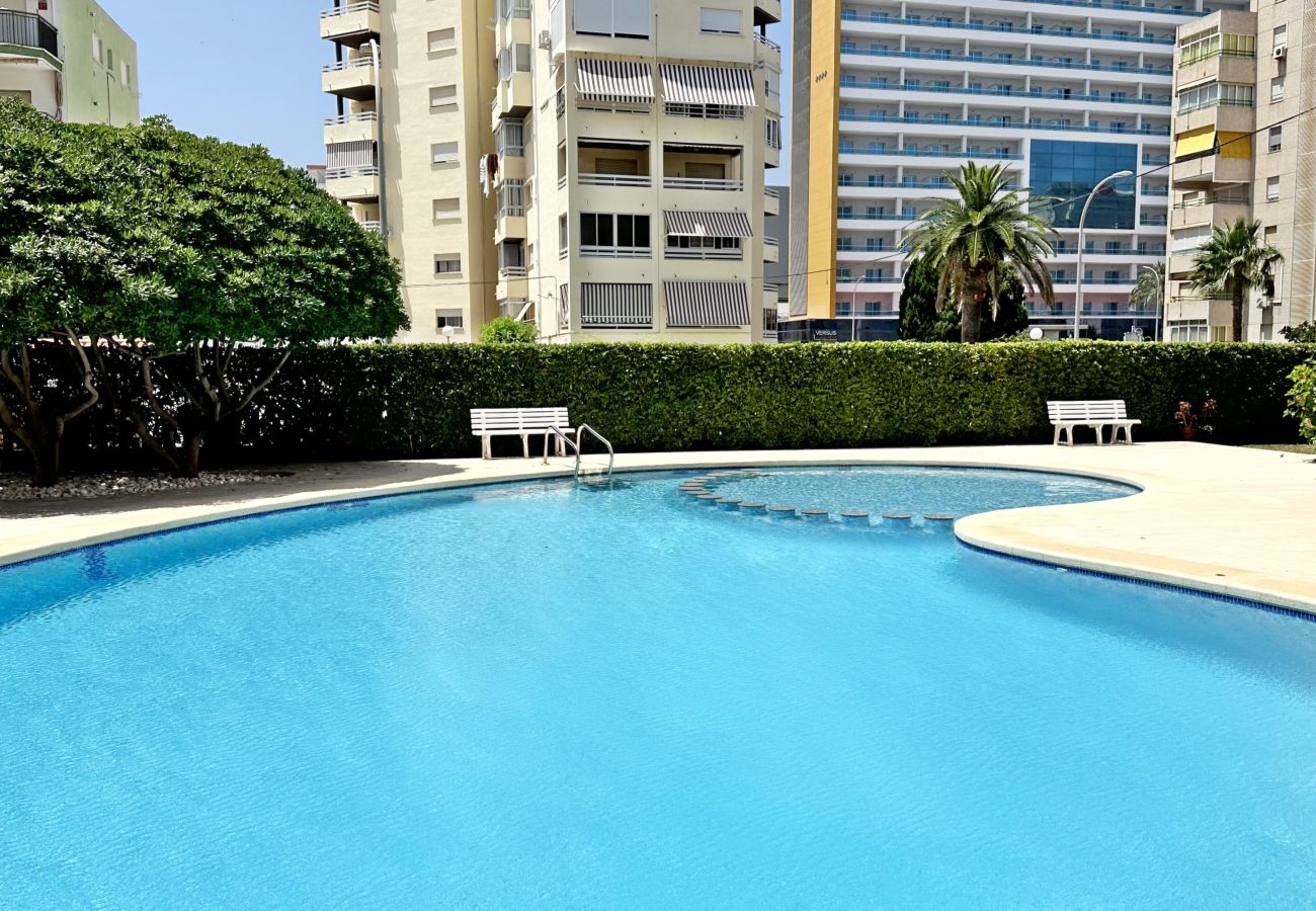 Apartamento en Gandia - LAS OLAS 4º - 11    /    PLAYA DE GANDIA