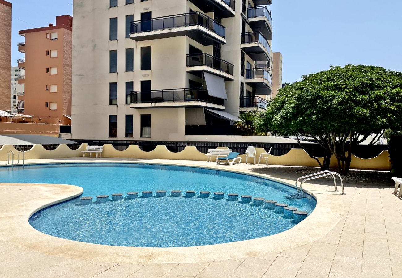 Apartamento en Gandia - LAS OLAS 4º - 11    /    PLAYA DE GANDIA