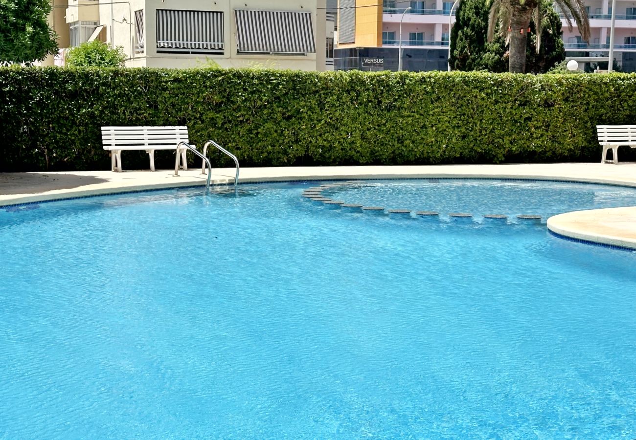 Apartamento en Gandia - LAS OLAS 4º - 11    /    PLAYA DE GANDIA