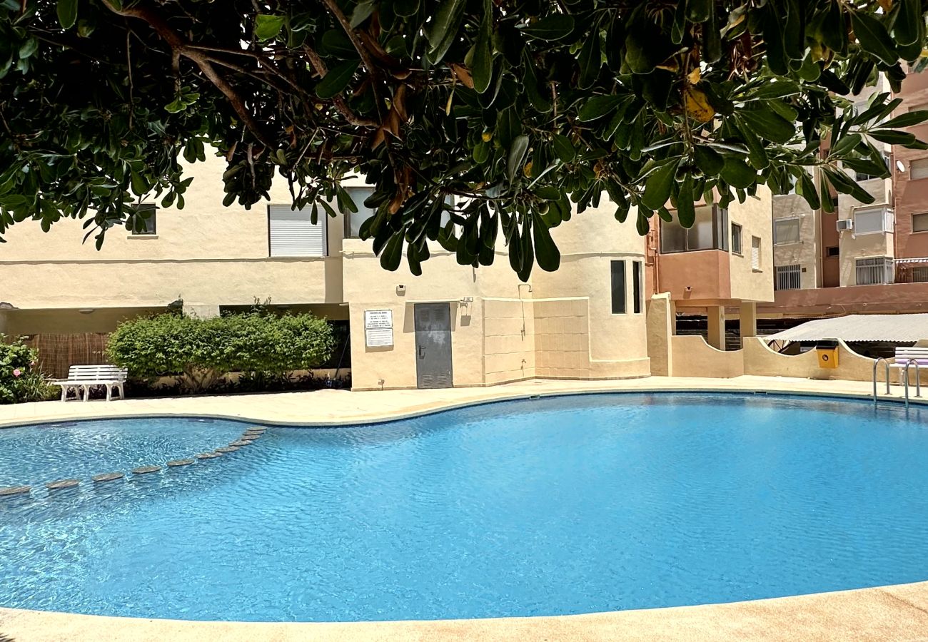 Apartamento en Gandia - LAS OLAS 4º - 11    /    PLAYA DE GANDIA