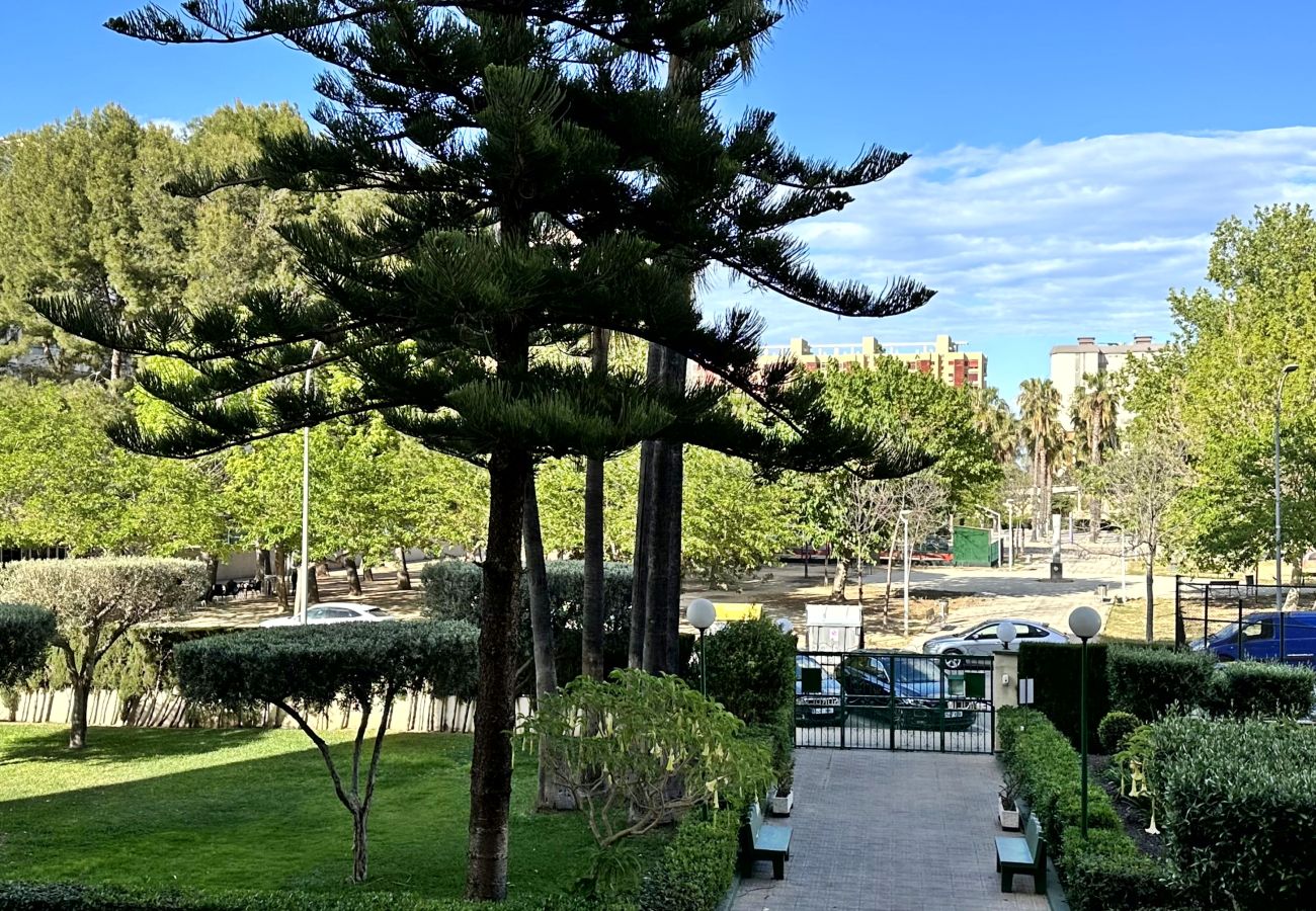 Apartamento en Gandia - SOROLLA A - 1º - 8ª    /    PLAYA DE GANDIA