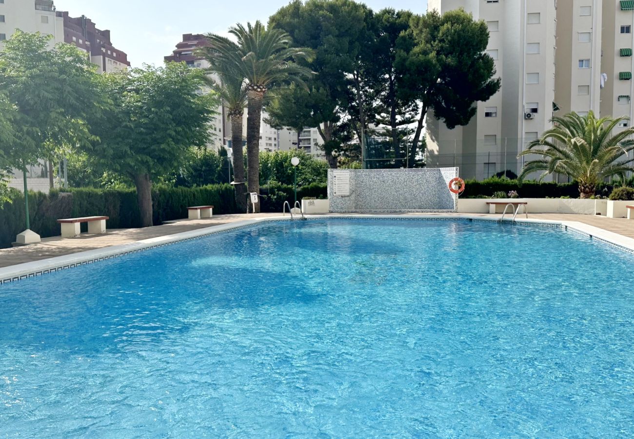Apartamento en Gandia - PIRAMIDE 1ª - 11º - 23ª   /    PLAYA DE GANDIA
