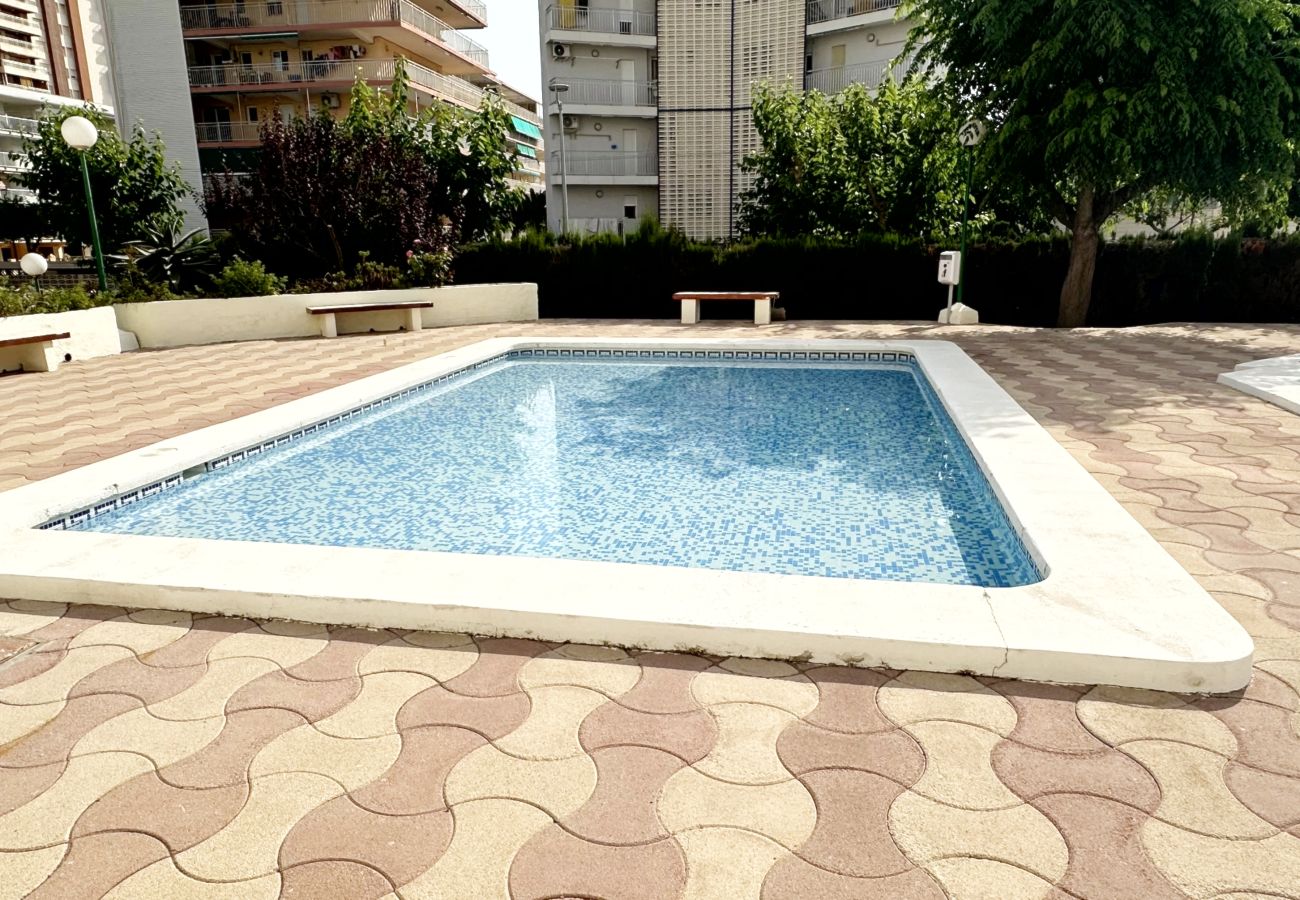 Apartamento en Gandia - PIRAMIDE 1ª - 11º - 23ª   /    PLAYA DE GANDIA
