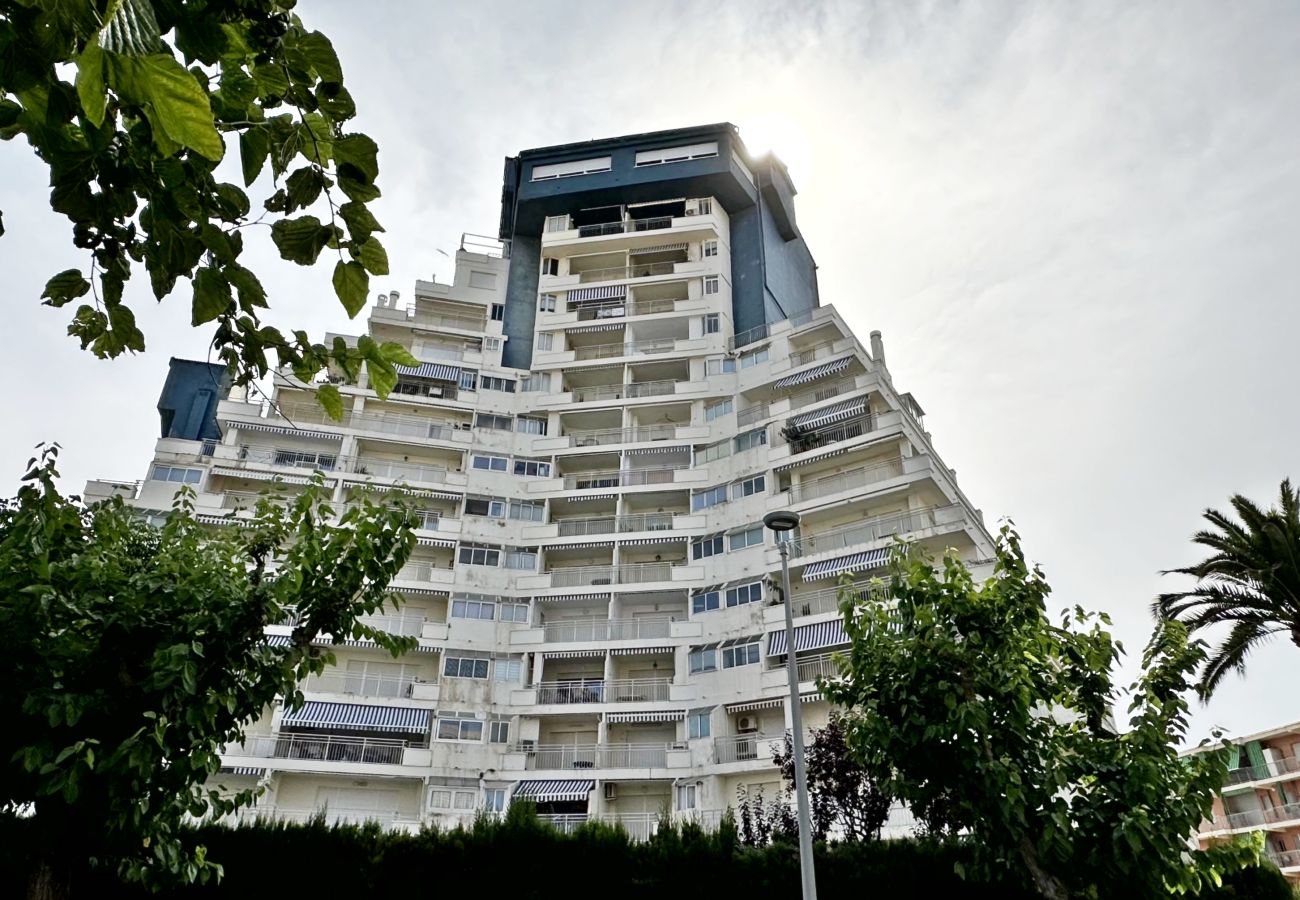 Apartamento en Gandia - PIRAMIDE 1ª - 11º - 23ª   /    PLAYA DE GANDIA