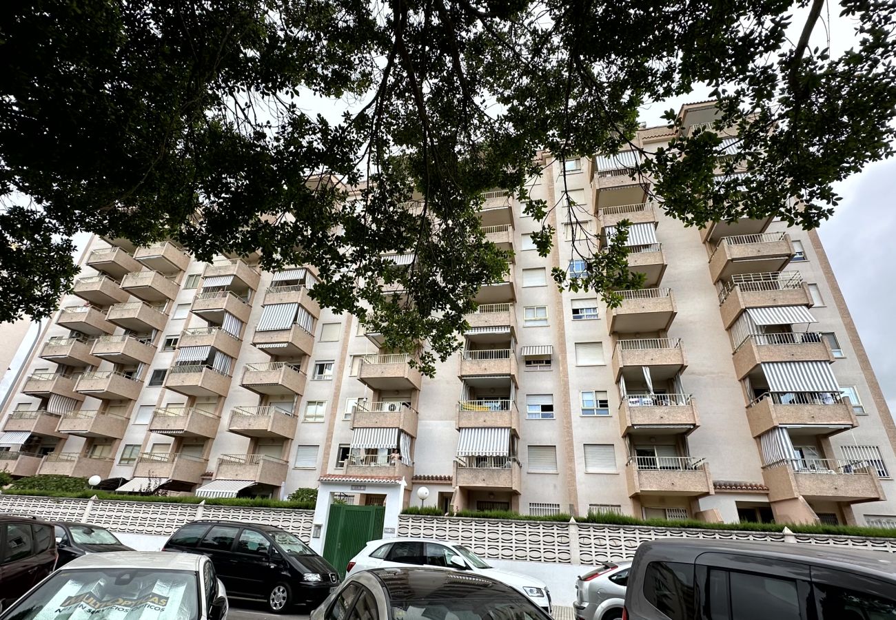 Apartamento en Gandia - JARDIN I - 4ª - 4º - B   /   PLAYA DE GANDIA