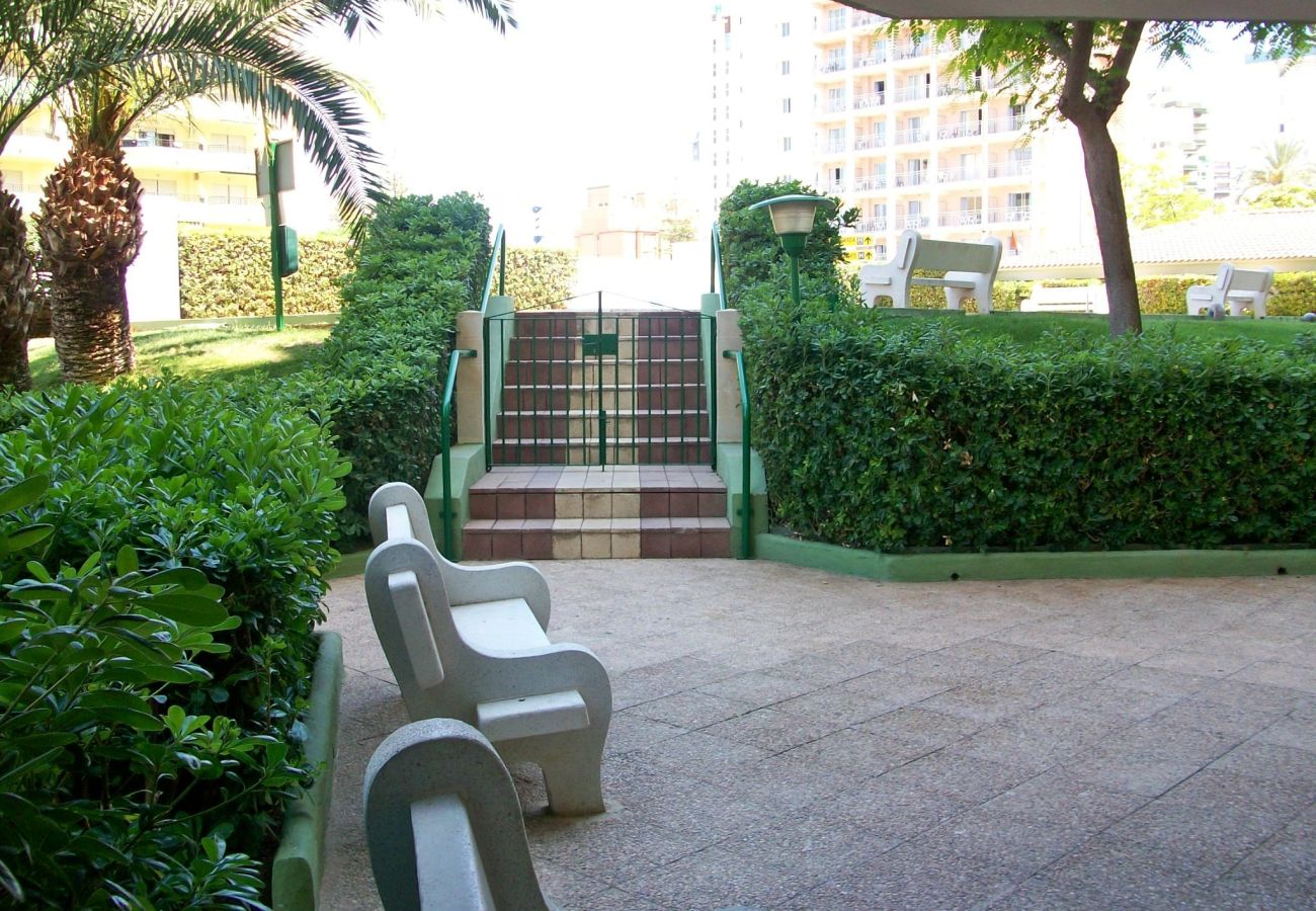 Apartamento en Gandia - GARDENIAS III - 8º - D   /    PLAYA DE GANDIA