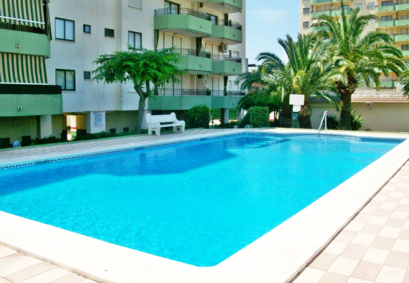 Apartamento en Gandia - GARDENIAS III - 8º - D   /    PLAYA DE GANDIA