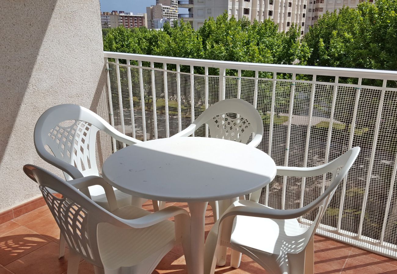 Apartamento en Gandia - BITACORA VI - 4º - E    /   PLAYA DE GANDIA