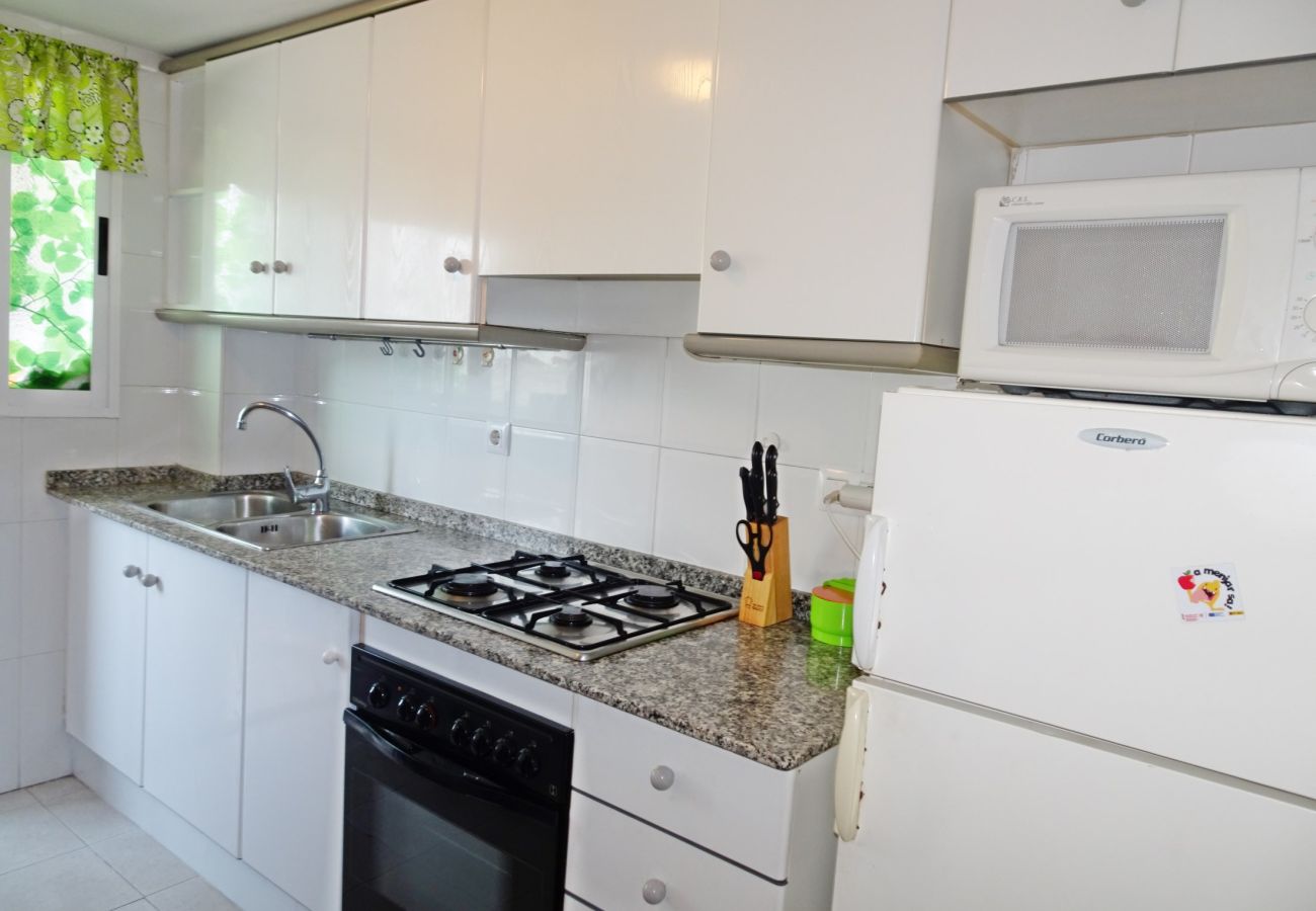 Apartamento en Gandia - BITACORA VI - 4º - E    /   PLAYA DE GANDIA