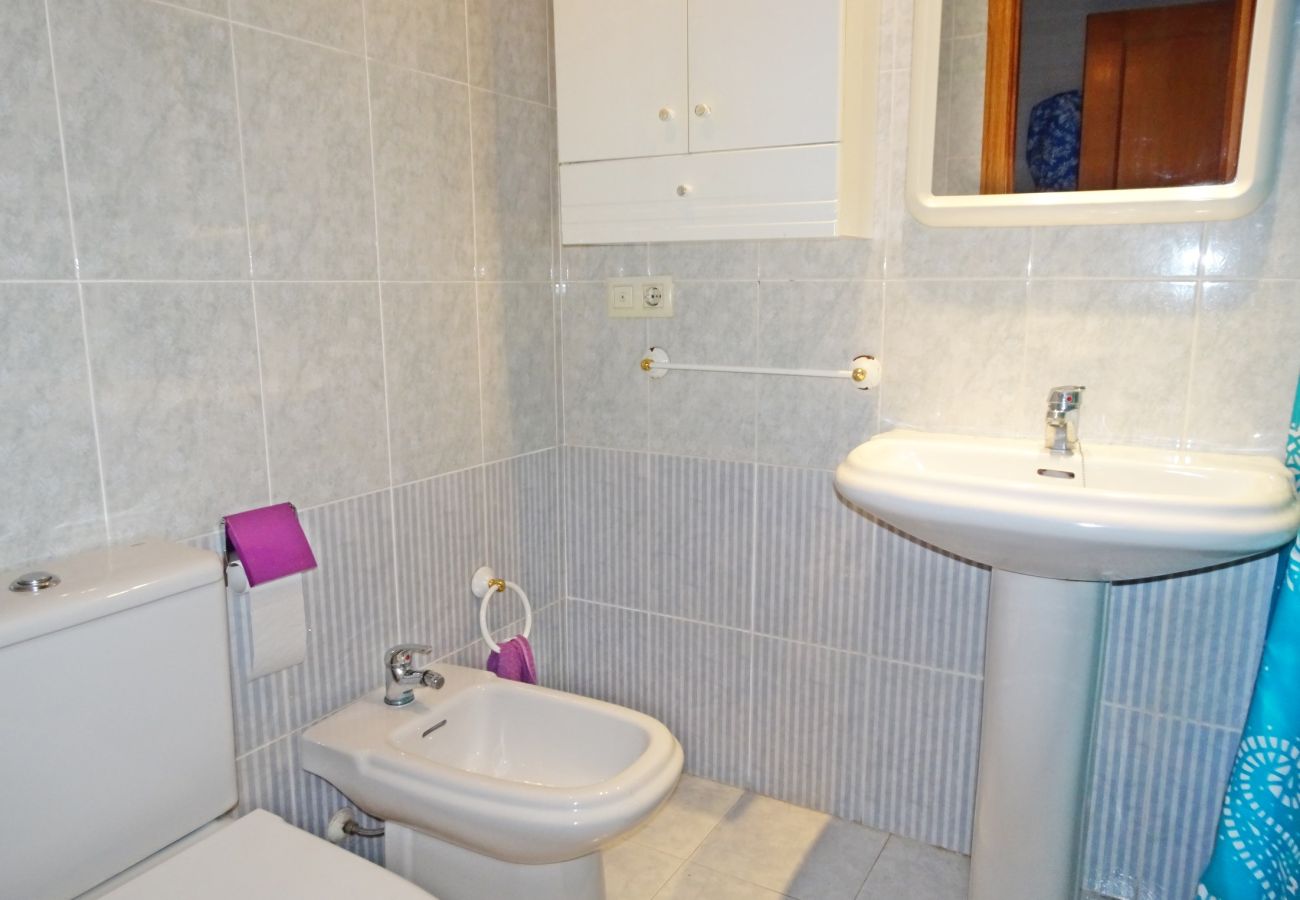 Apartamento en Gandia - BITACORA VI - 4º - E    /   PLAYA DE GANDIA