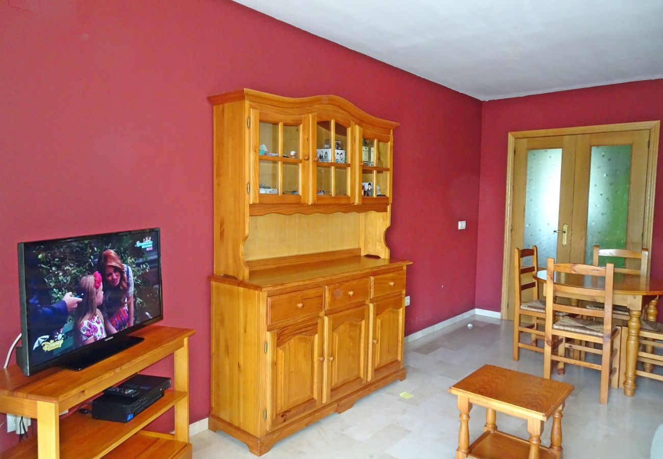 Apartamento en Gandia - BITACORA VI - 4º - E    /   PLAYA DE GANDIA