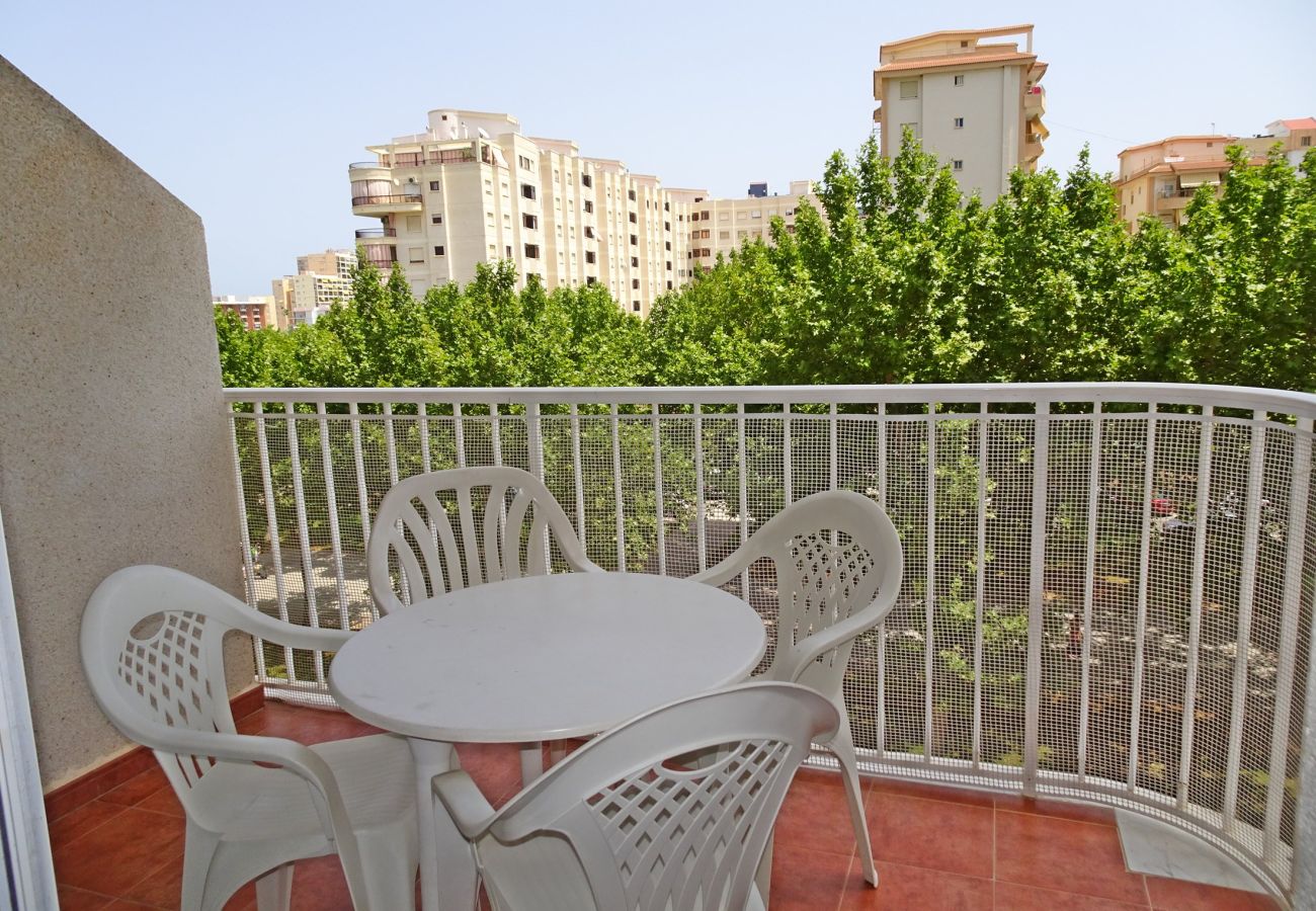 Apartamento en Gandia - BITACORA VI - 4º - E    /   PLAYA DE GANDIA