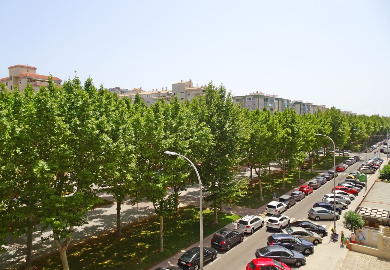 Apartamento en Gandia - BITACORA VI - 4º - E    /   PLAYA DE GANDIA