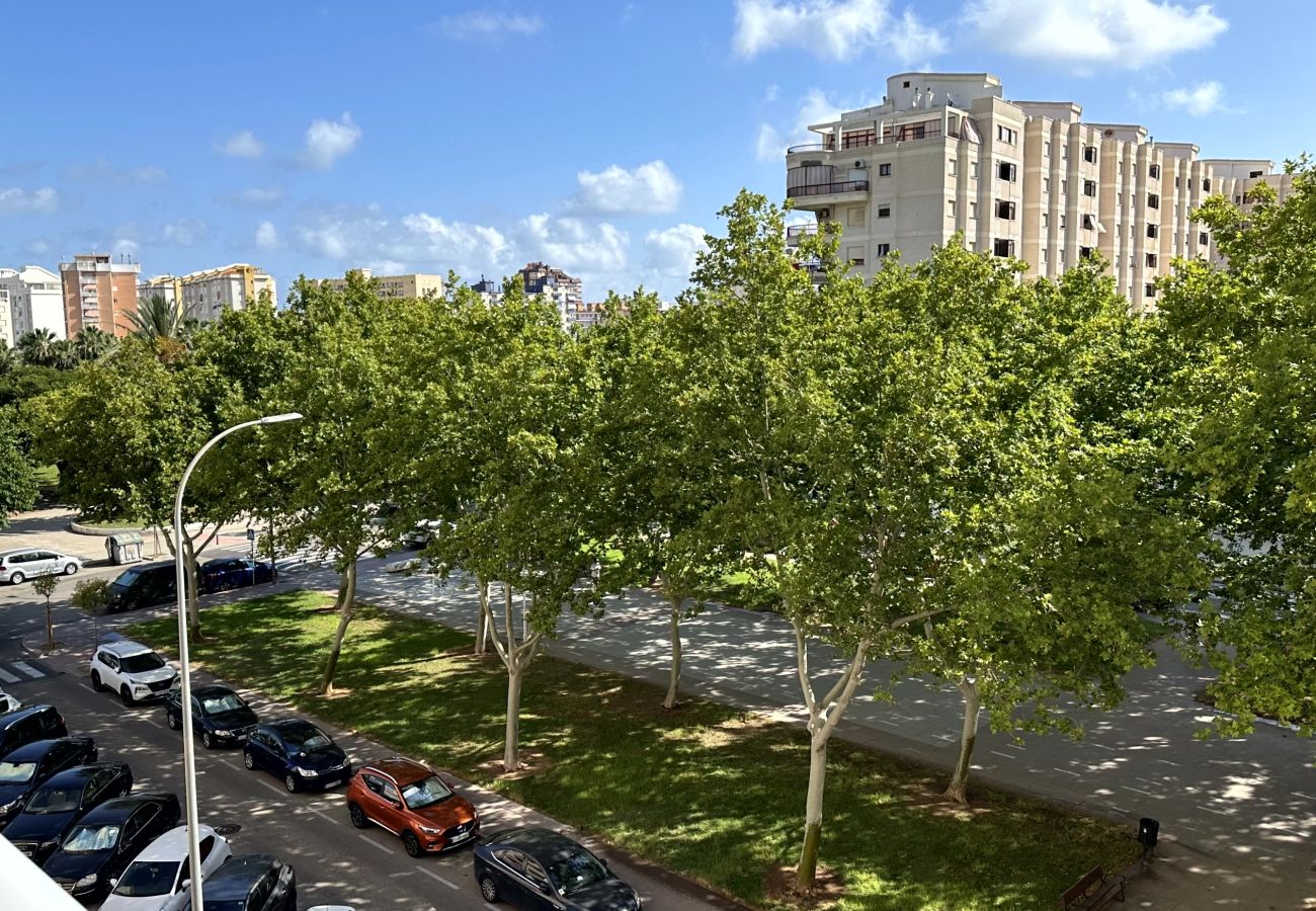 Apartamento en Gandia - BITACORA VI - 4º - E    /   PLAYA DE GANDIA