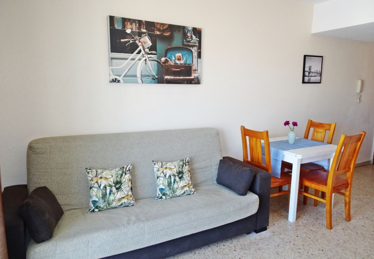 Apartamento en Gandia - BONAIRE E9 - 9º    /   PLAYA DE GANDIA