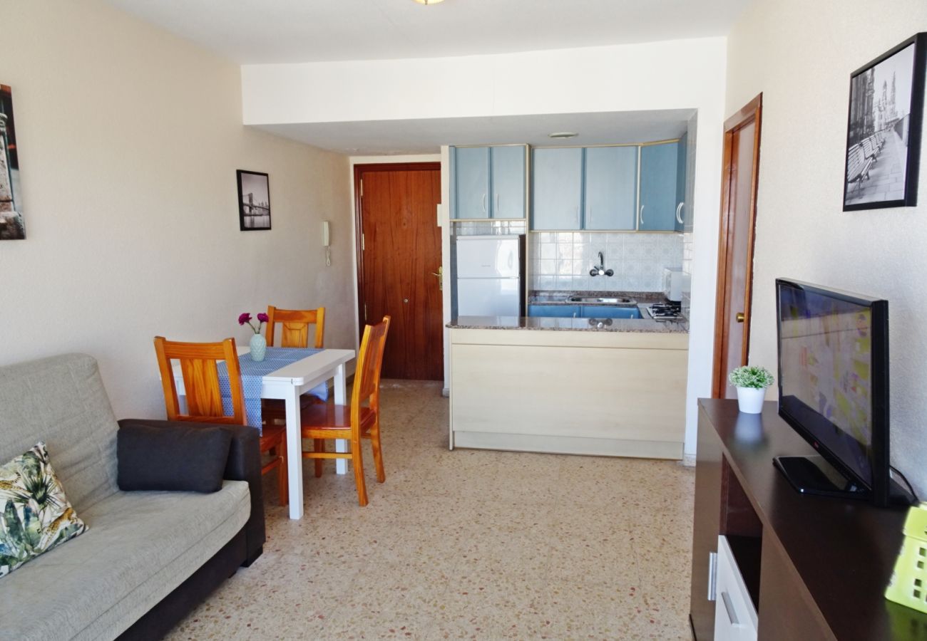 Apartamento en Gandia - BONAIRE E9 - 9º    /   PLAYA DE GANDIA