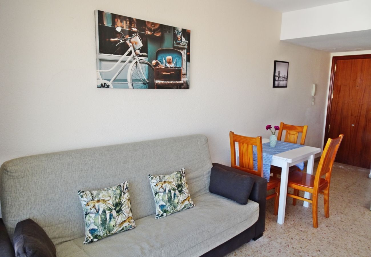 Apartamento en Gandia - BONAIRE E9 - 9º    /   PLAYA DE GANDIA