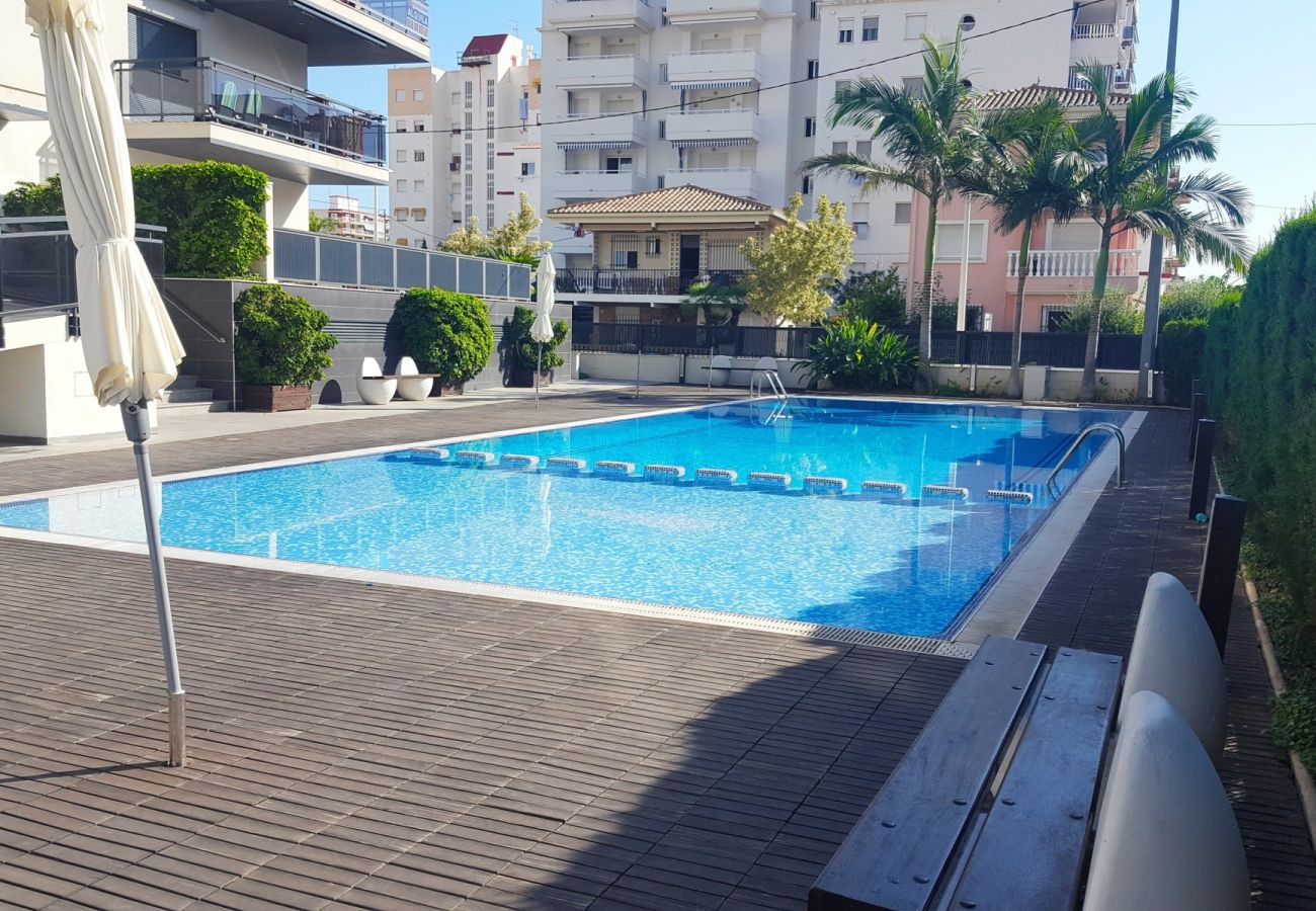 Apartamento en Gandia - PLAYASOL 1ª - 2º - A   /   PLAYA DE GANDIA