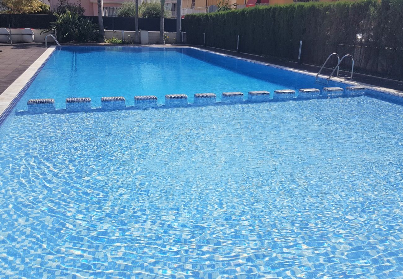 Apartamento en Gandia - PLAYASOL 1ª - 2º - A   /   PLAYA DE GANDIA