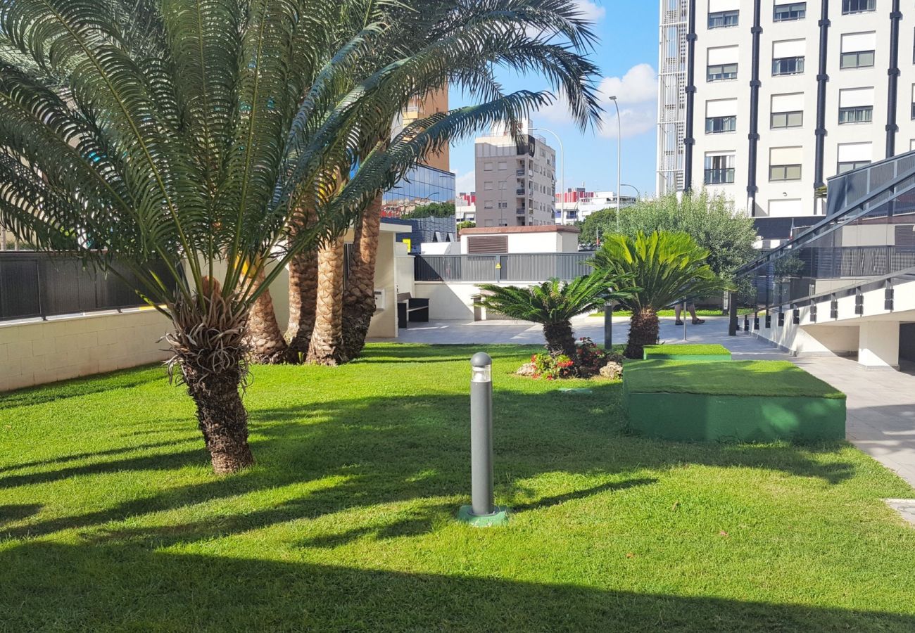 Apartamento en Gandia - PLAYASOL 1ª - 2º - A   /   PLAYA DE GANDIA