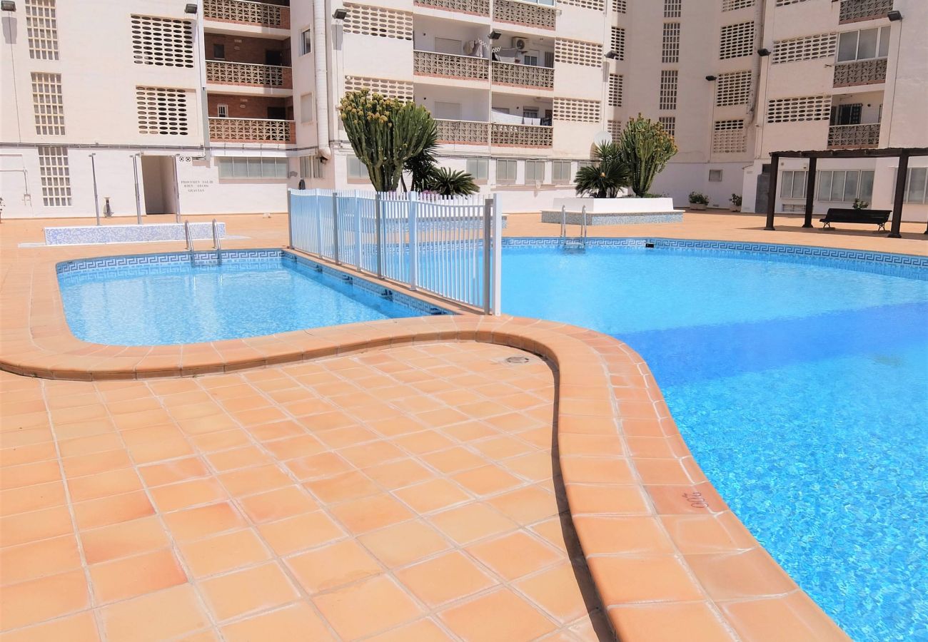 Apartamento en Gandia - BONAIRE 4º - B  /   PLAYA DE GANDIA 