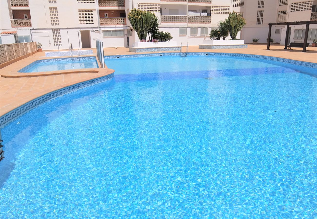 Apartamento en Gandia - BONAIRE 4º - B  /   PLAYA DE GANDIA 