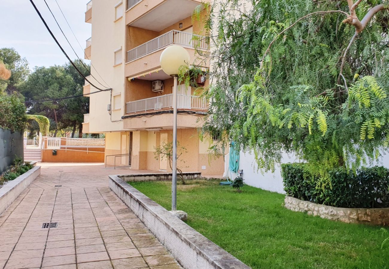 Apartamento en Miramar Playa - EUROPA I - C - 6º - DCHA   /   PLAYA DE MIRAMAR