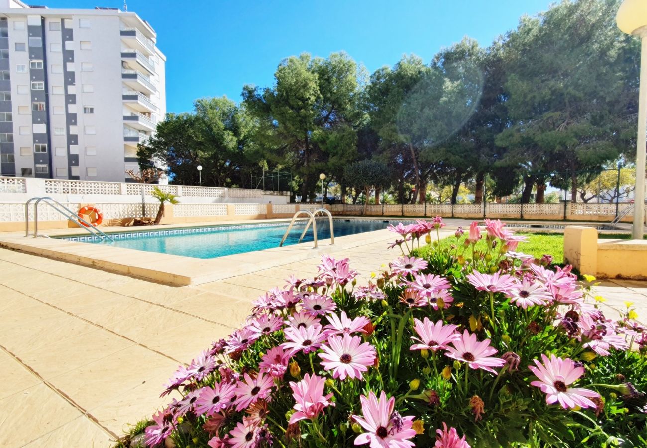 Apartamento en Miramar Playa - EUROPA I - C - 6º - DCHA   /   PLAYA DE MIRAMAR