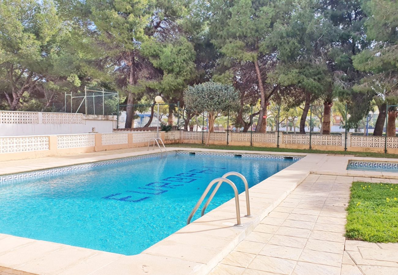 Apartamento en Miramar Playa - EUROPA I - C - 6º - DCHA   /   PLAYA DE MIRAMAR