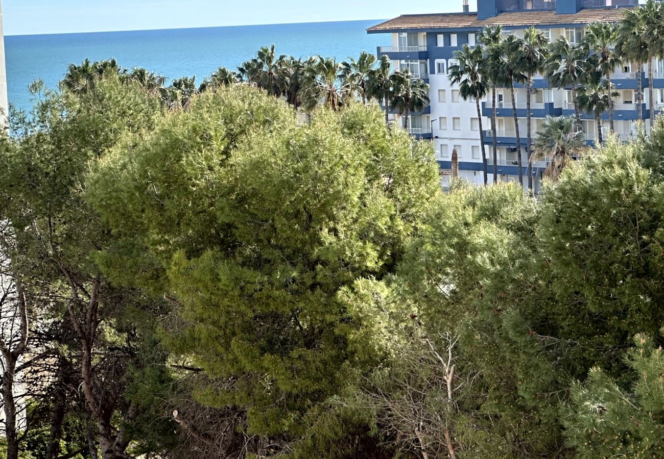 Apartamento en Miramar Playa - EUROPA I - C - 6º - DCHA   /   PLAYA DE MIRAMAR