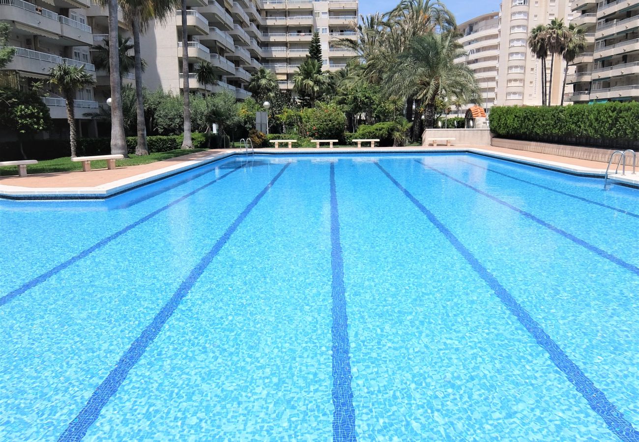 Apartamento en Gandia - LA FLORIDA 3ª - 9º - 18    /    PLAYA DE GANDIA