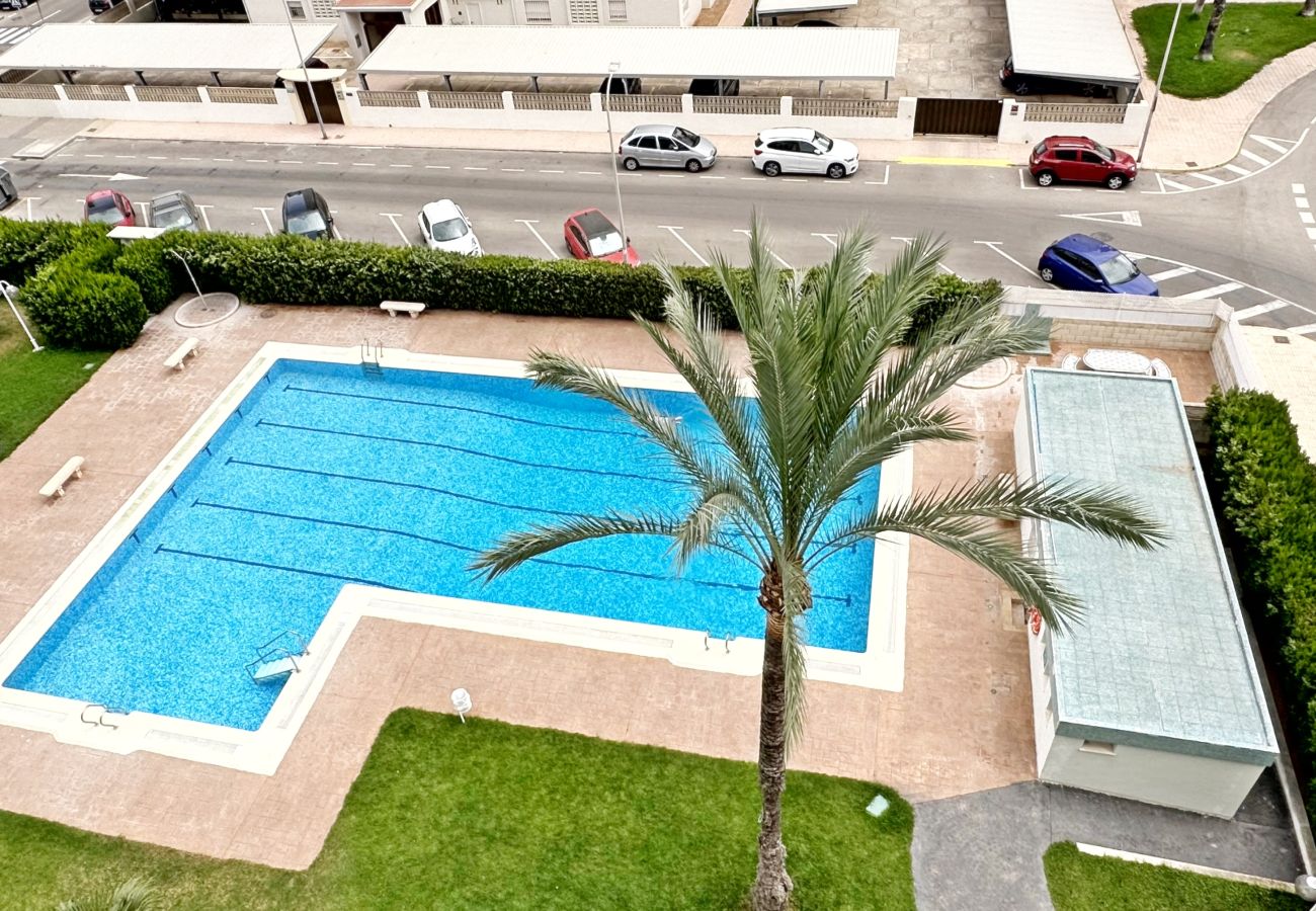 Apartamento en Gandia - LA FLORIDA 3ª - 9º - 18    /    PLAYA DE GANDIA