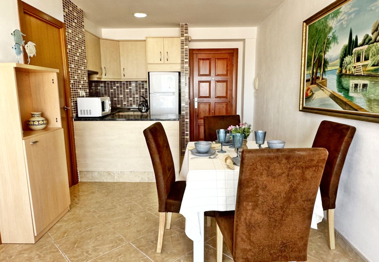 Apartamento en Gandia - INFANTE E6 - 13   /    PLAYA DE GANDIA