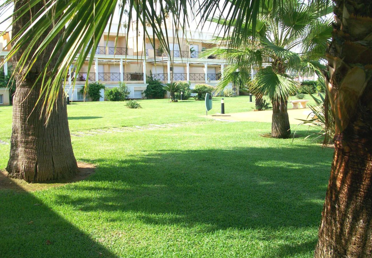 Apartamento en Oliva - CASAS DEL MAR 7 - 1º - 21ª    /   PLAYA DE OLIVA NOVA GOLF