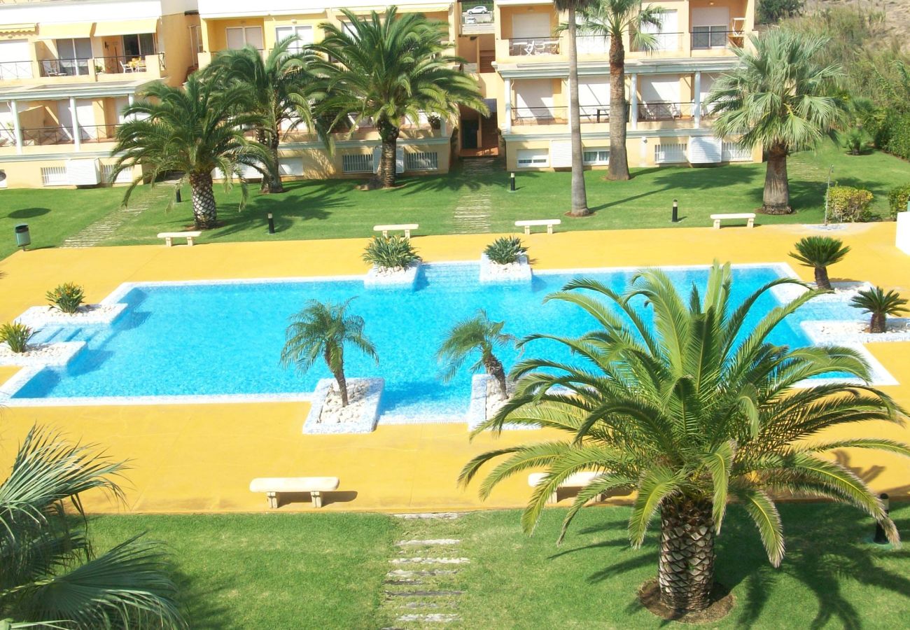 Apartamento en Oliva - CASAS DEL MAR 7 - 1º - 21ª    /   PLAYA DE OLIVA NOVA GOLF